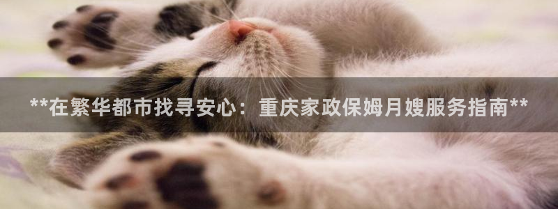 杏悦娱乐平台靠谱吗