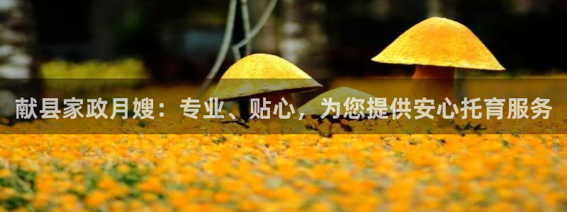 杏悦登入