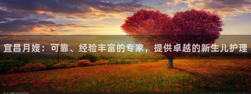 杏悦平台如何注册账号