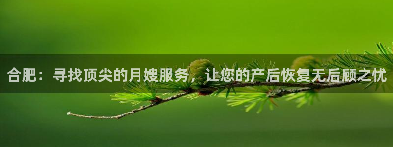 杏悦平台公司介绍