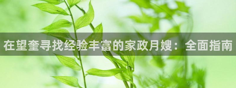 杏悦平台线路测速
