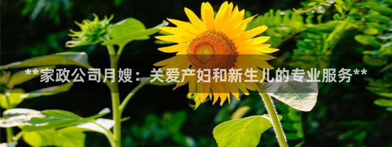 杏悦平台如何