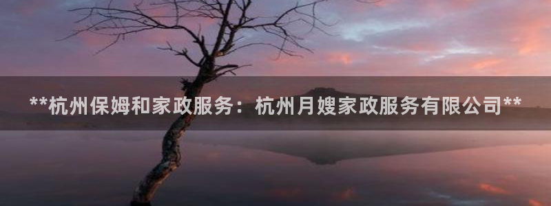 杏悦是什么平台