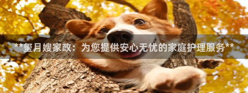 杏悦娱乐平台靠谱吗