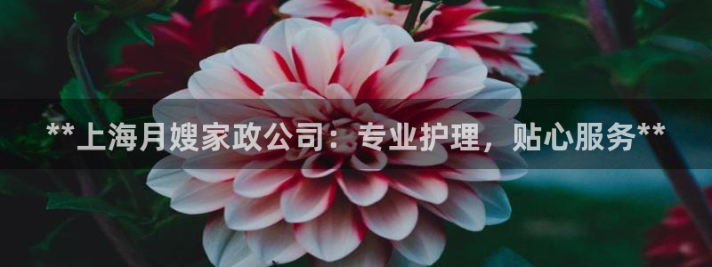 杏悦平台地址