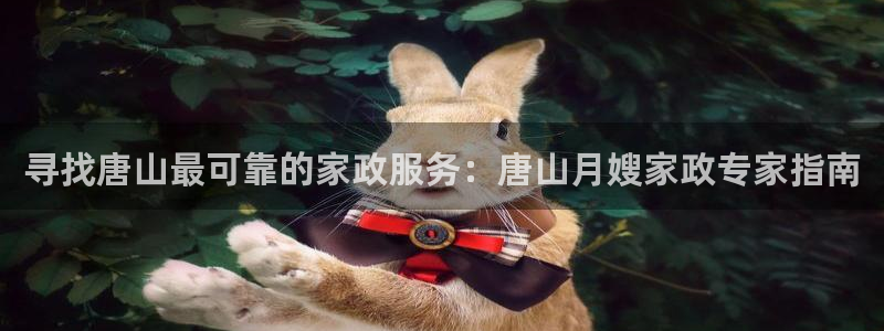 杏悦平台代理