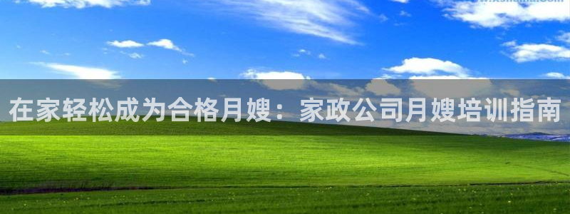 杏悦平台代理注册流程