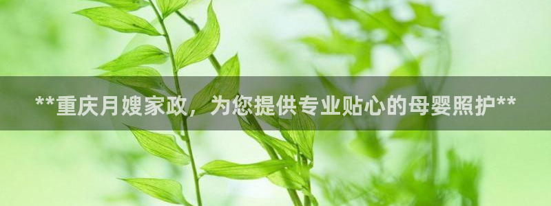 杏悦平台注册地址在哪里