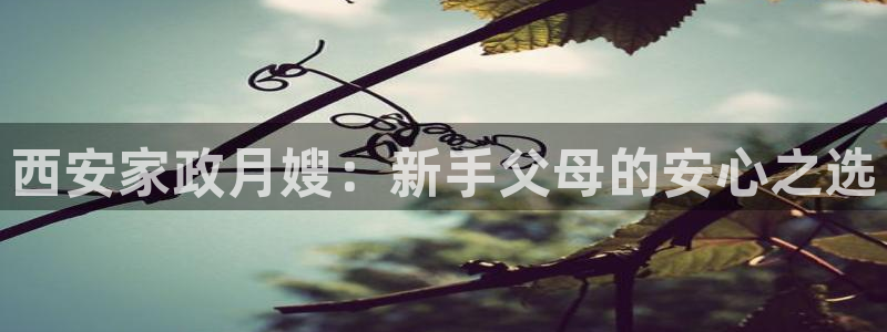 杏悦官网注册信息是什么