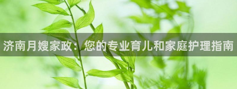 杏悦招商地址