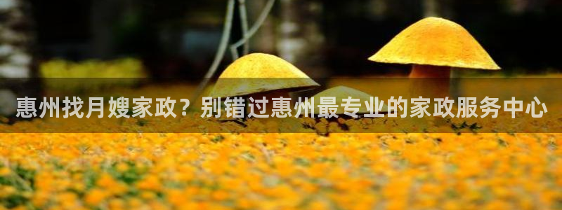 杏悦官方平台是正品吗安全吗