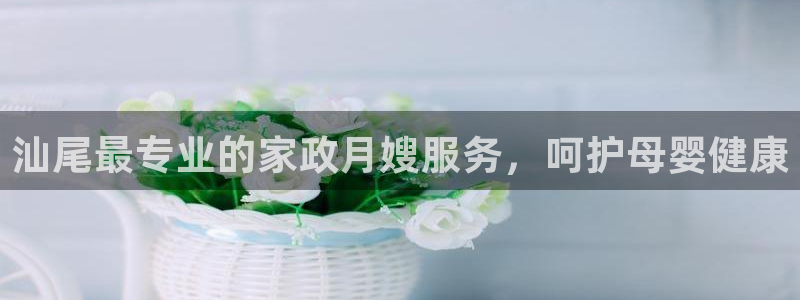 杏悦平台登录网址查询