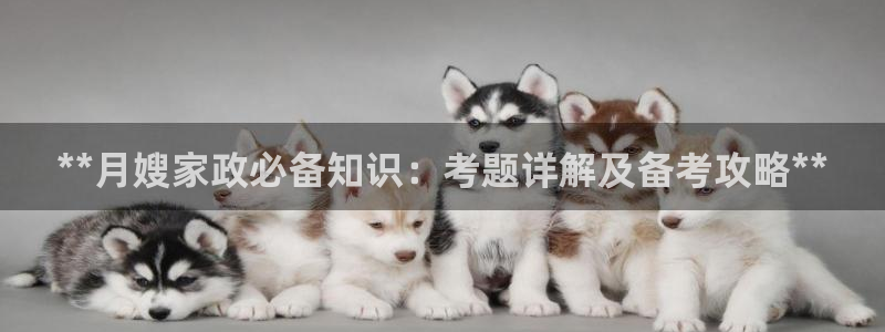 杏悦平台招商电话号码