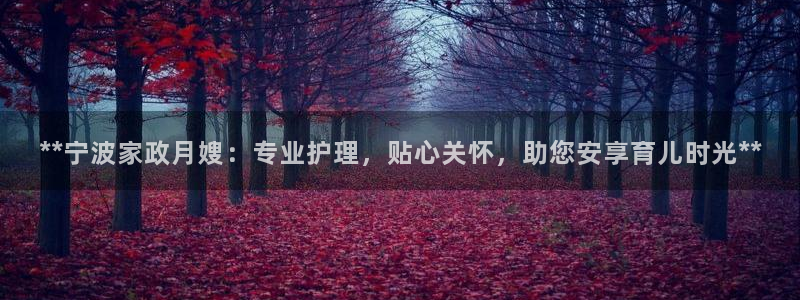 杏悦平台代理怎么赚钱的