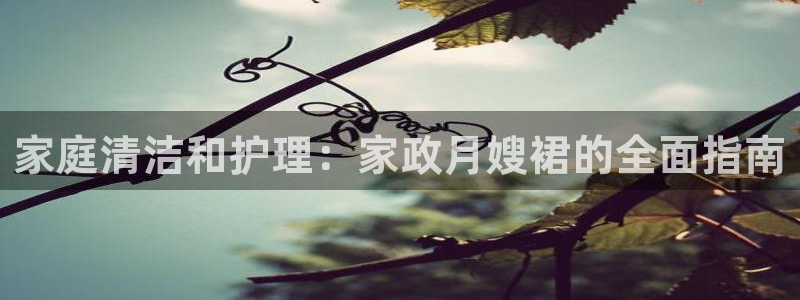 杏悦官网登录