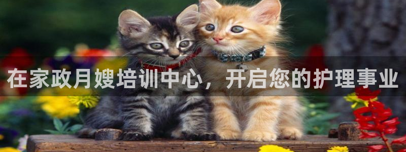 杏悦登陆地址
