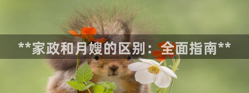 杏悦平台代理怎么赚钱快