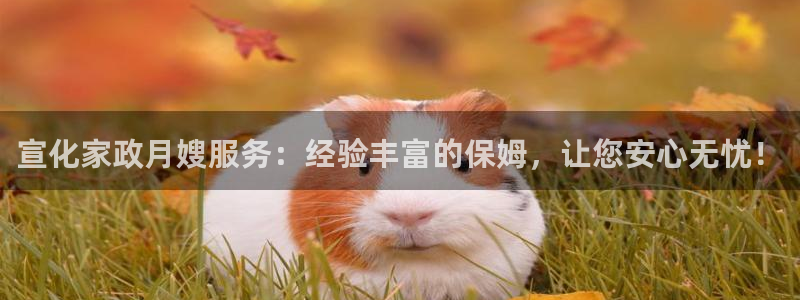 杏悦平台注册地址