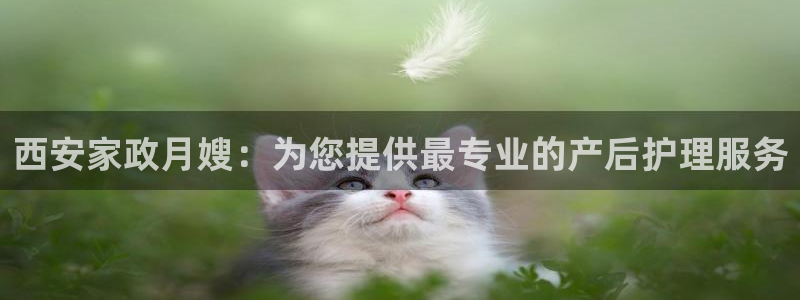 杏悦平台可靠吗