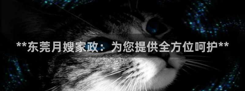 杏悦登录网址是什么