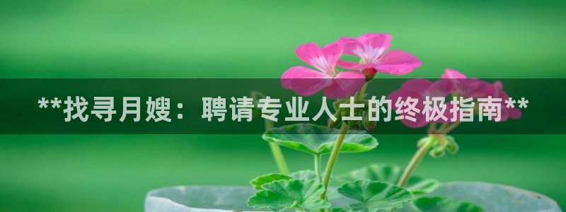 杏悦平台代理