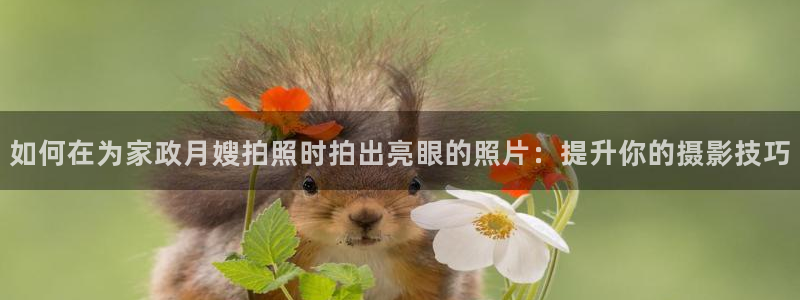 杏悦娱乐注册平台官网