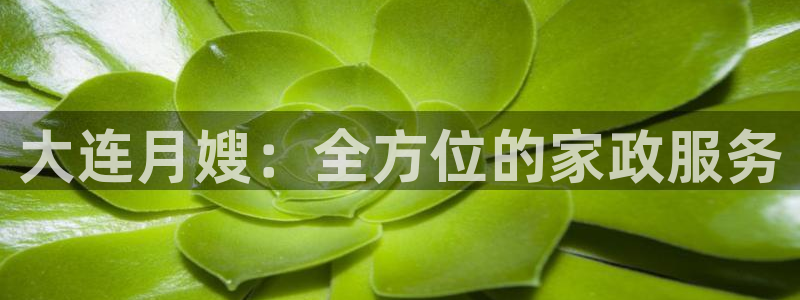 杏悦平台代理怎么样