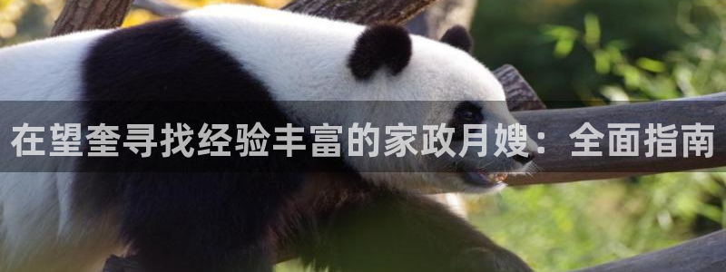 杏悦t首选推荐平台