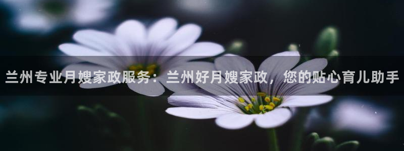 杏悦官网