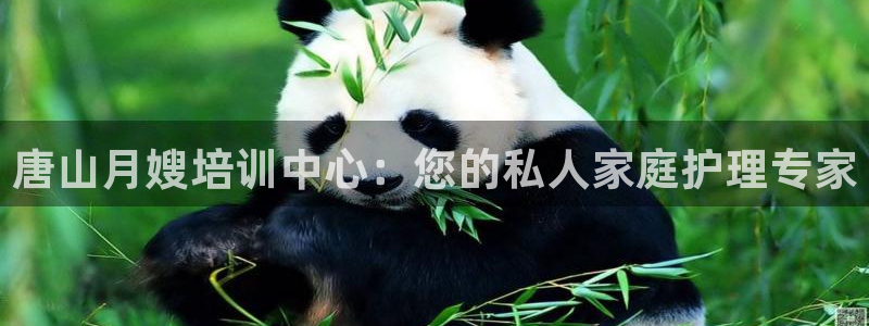 杏悦总代理