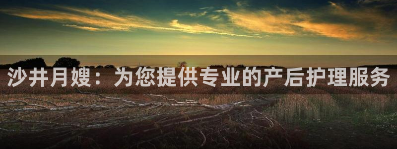 杏悦平台代理注册