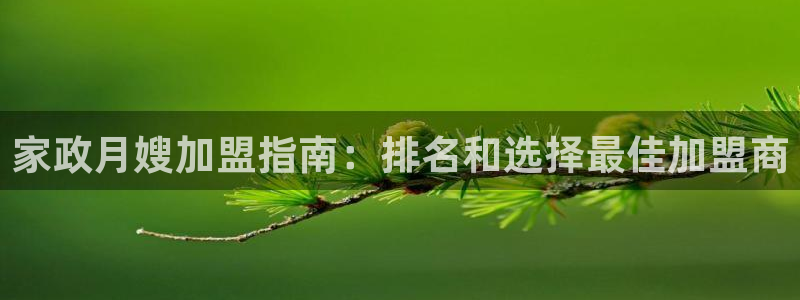 杏悦平台代理怎么样赚钱