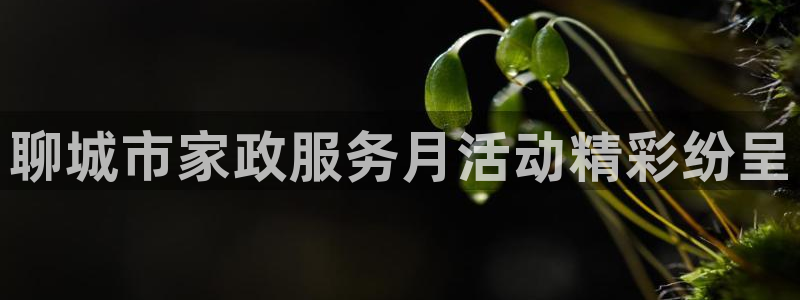 杏悦平台代理怎么做