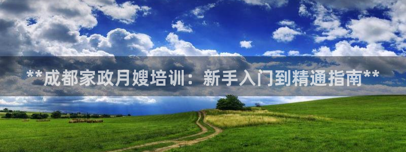 杏悦平台代理