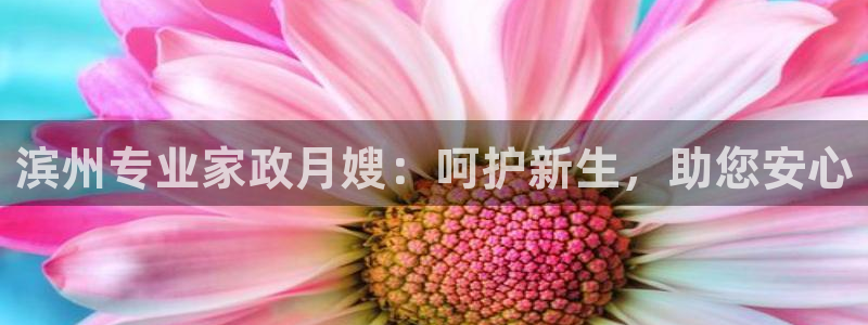 杏悦平台招商电话