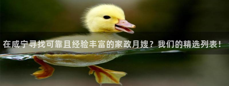 杏悦平台开户地址是什么