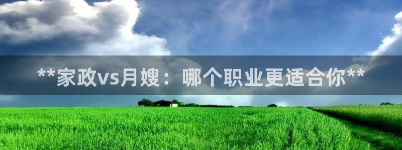 杏悦平台代理多少钱