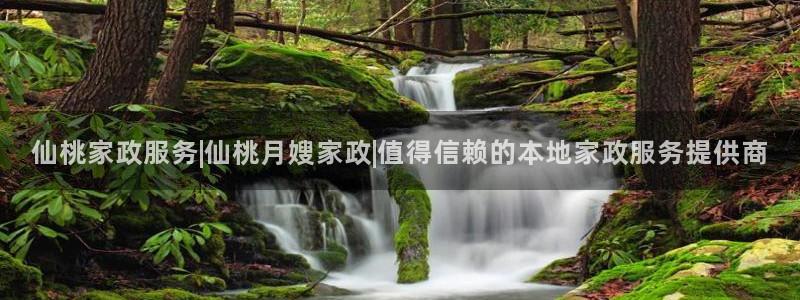 杏悦是什么