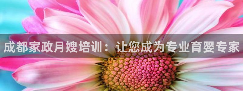 杏悦平台招商怎么样