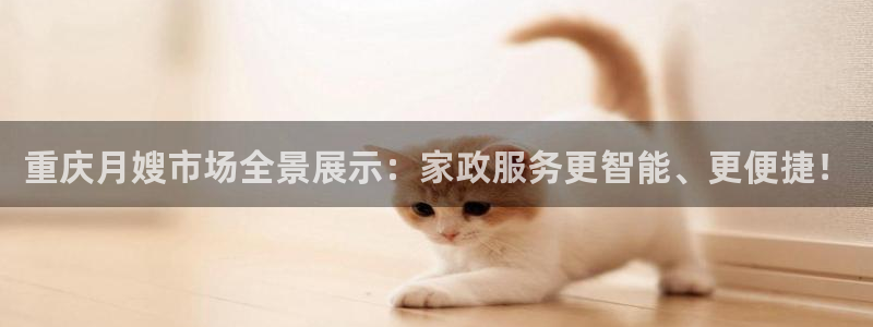 杏悦平台招商电话