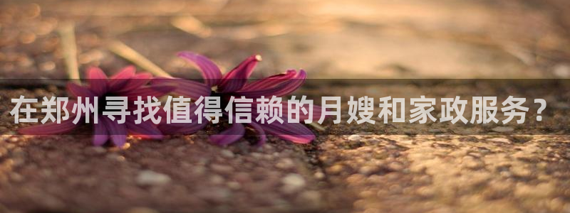 杏悦主管