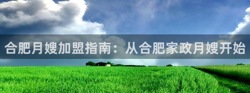 杏悦平台代理怎么赚钱快