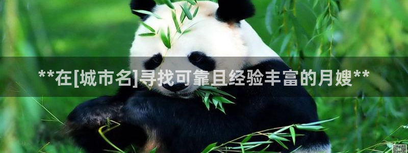 杏悦t首选推荐平台