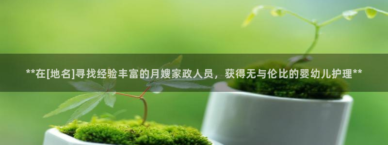 杏悦招商地址