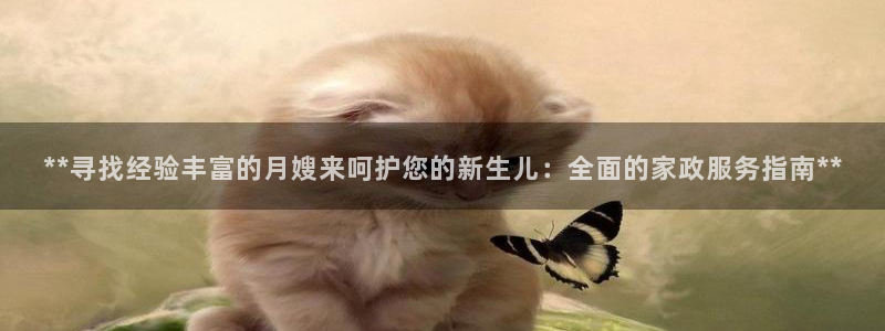 杏悦平台代理怎么做的