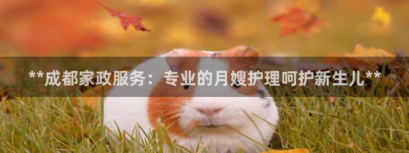 杏悦平台可靠吗是真的吗知乎