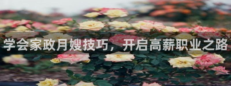 杏悦1招商地址