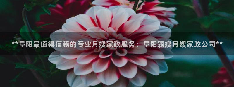 杏悦登入