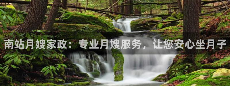 杏悦官网注册信息是什么样的