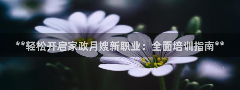 杏悦平台如何
